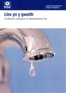INDG293W Welfare at Work: Guidance for Employers on Welfare Provisions Welsh product image