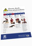 Electric Shock: First Aid Procedures product image