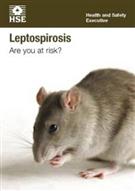 INDG84 Leptospirosis: Are You At Risk? product image